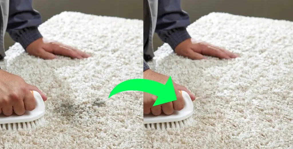 Easily Remove Black Spots on Carpet