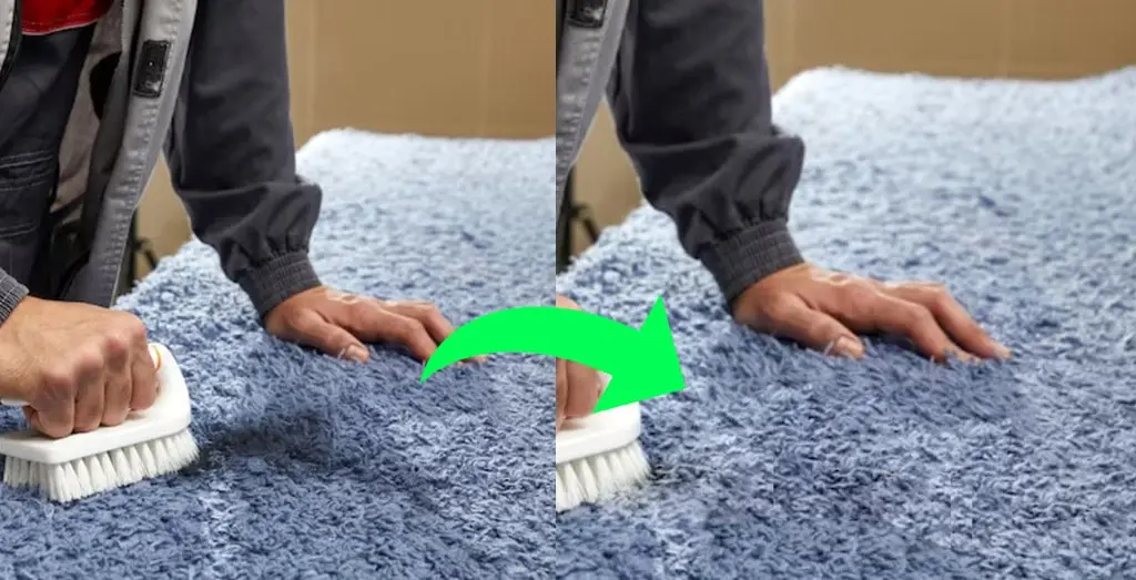 Remove Black Spots on Carpet