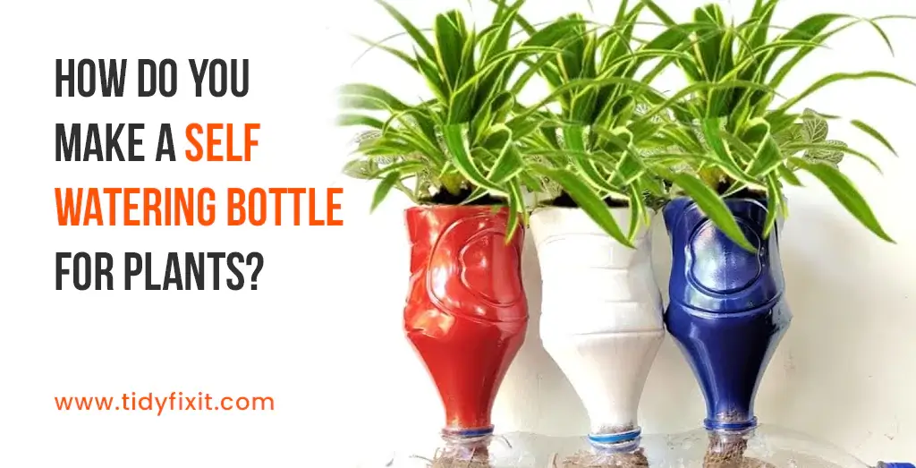 How Do You Make a Self Watering Bottle for Plants Easy 5-Step DIY Guide